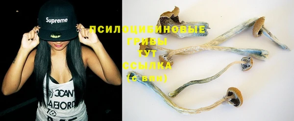стаф Зерноград