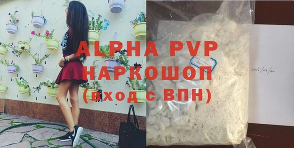 стаф Зерноград