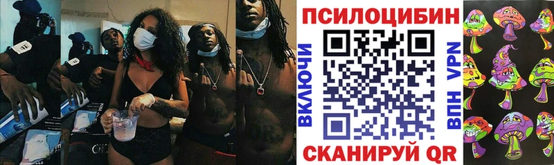 Галлюциногенные грибы прущие грибы  Купить  Торопец 