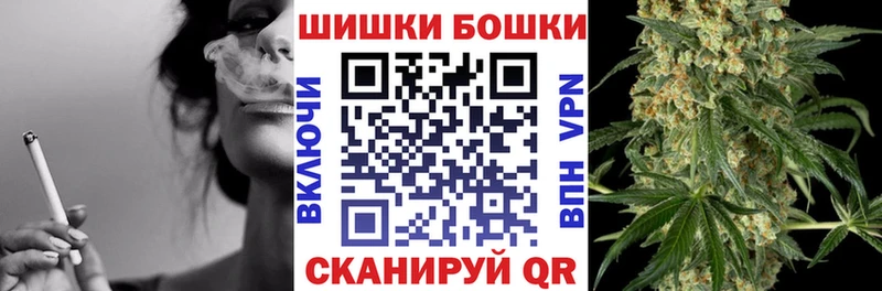 Купить закладки  Торопец  Шишки марихуана ГИДРОПОН 